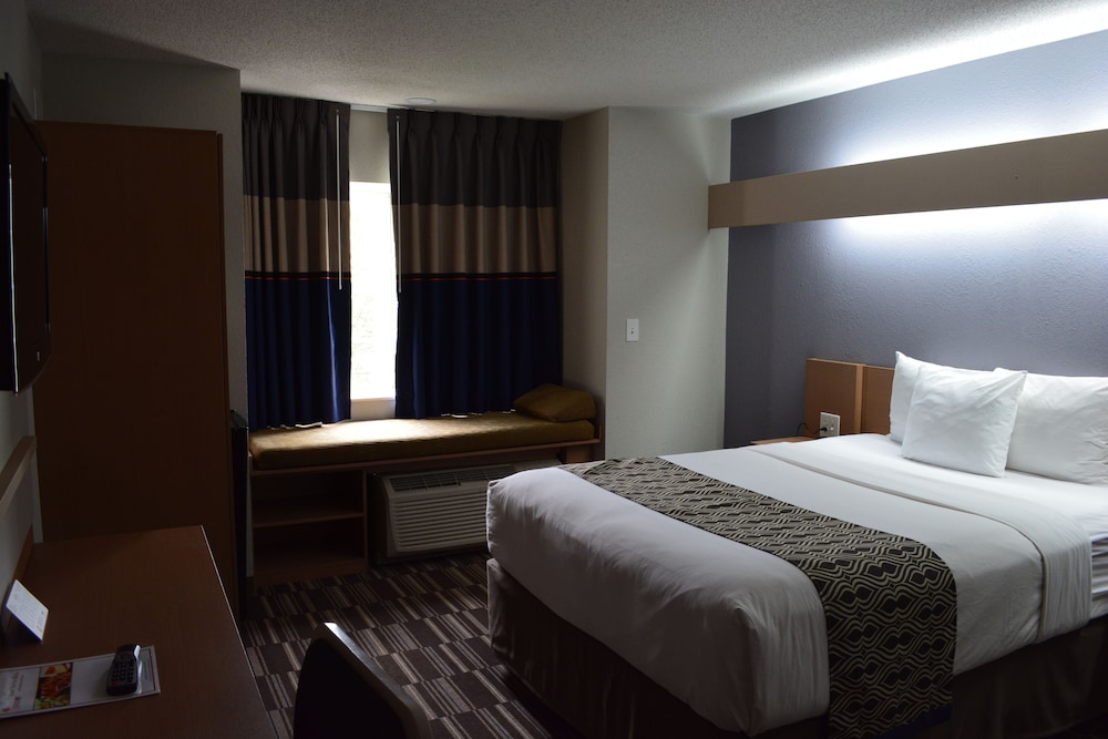 Microtel Inn & Suites by Wyndham BWI Airport Baltimore 17/40