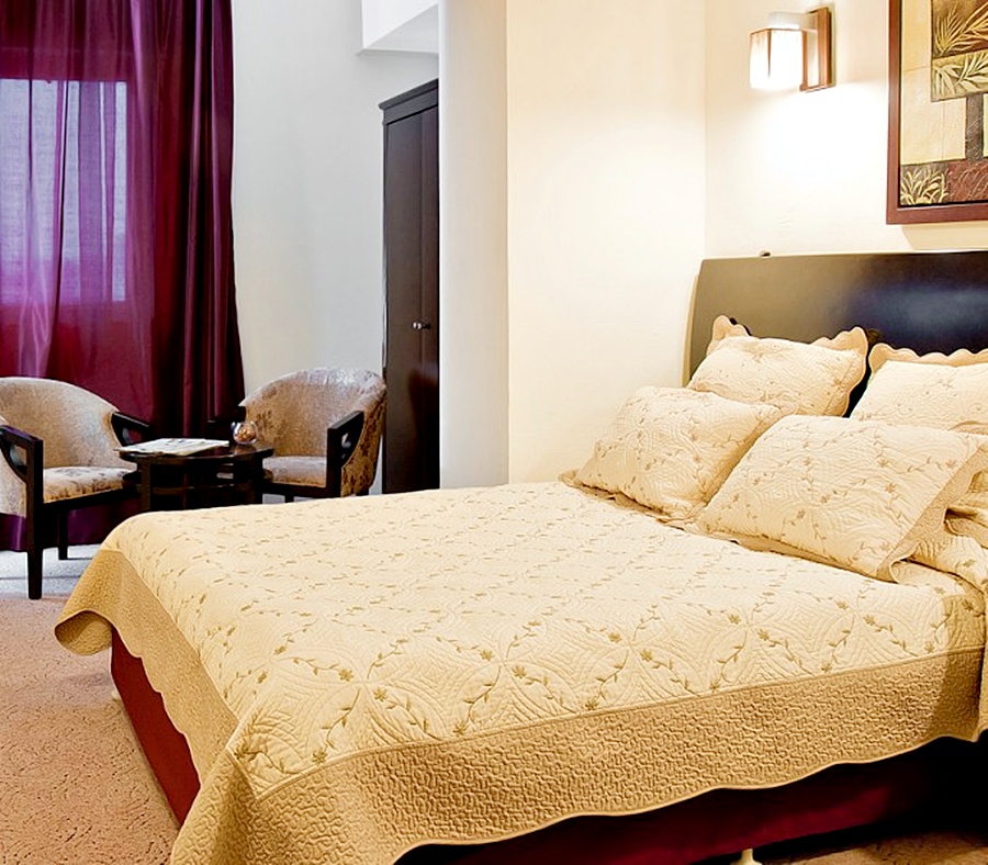 Avis Hotel By WS Hotel Group 12/30