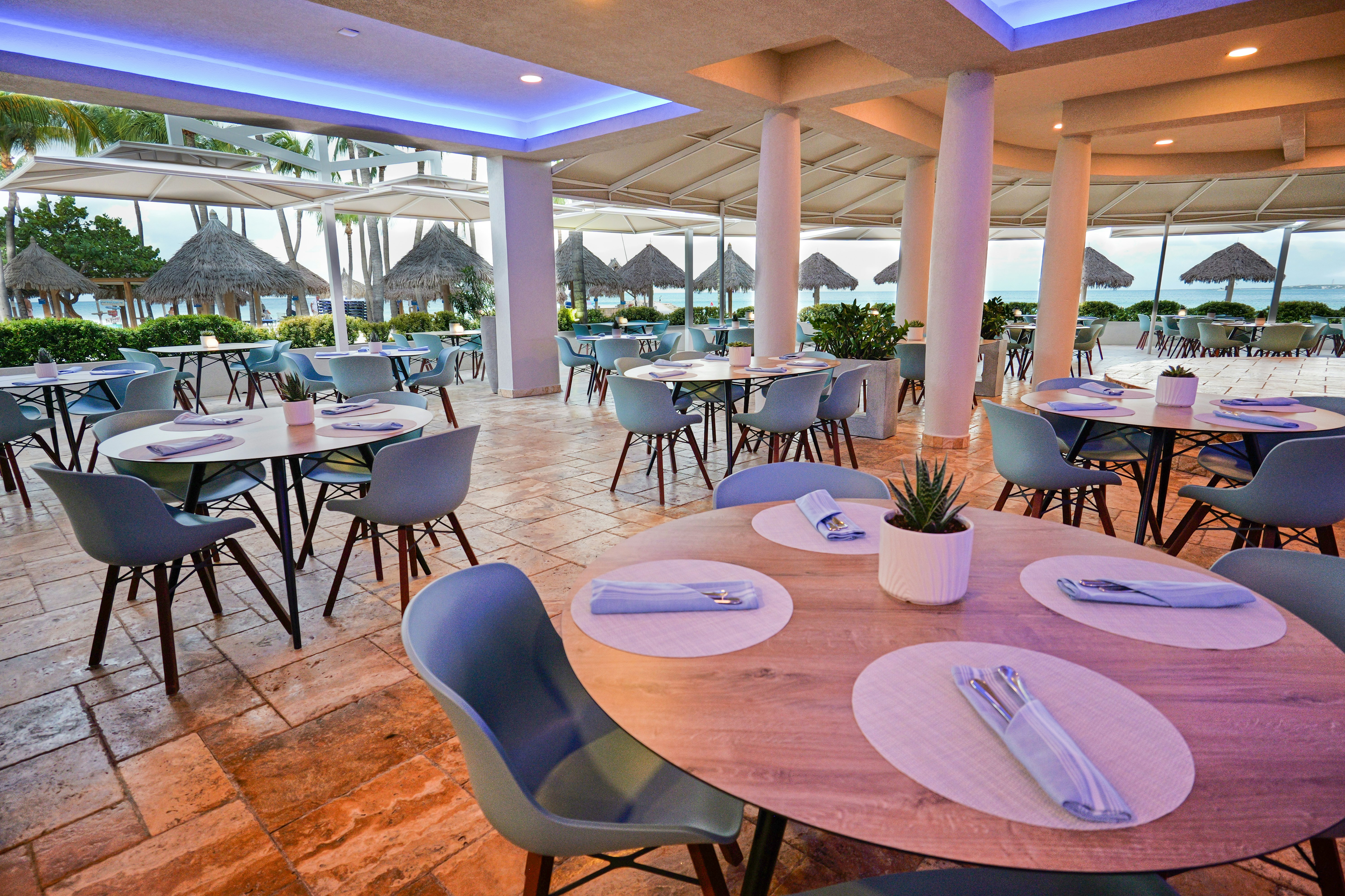 Divi Aruba Phoenix Beach Resort 11/36