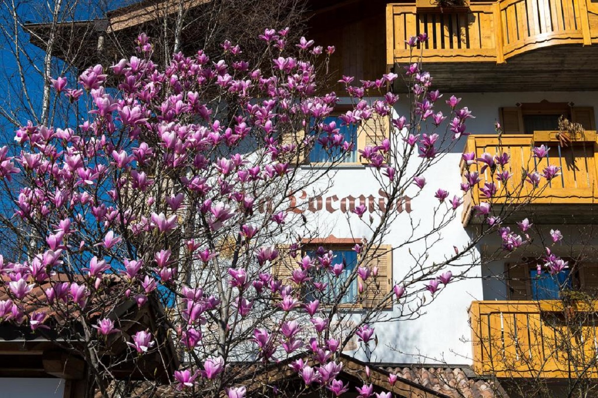 Hotel Residence La Locanda 28/31