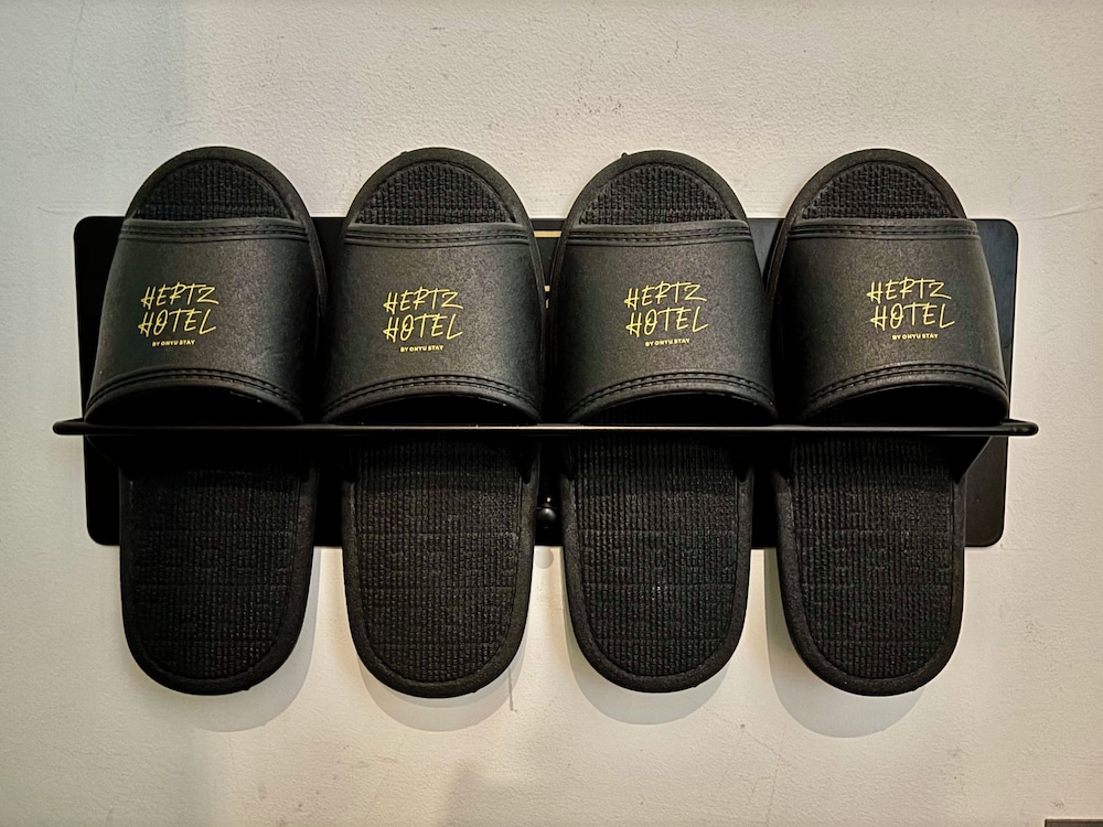 Hotel Hertz 24/31