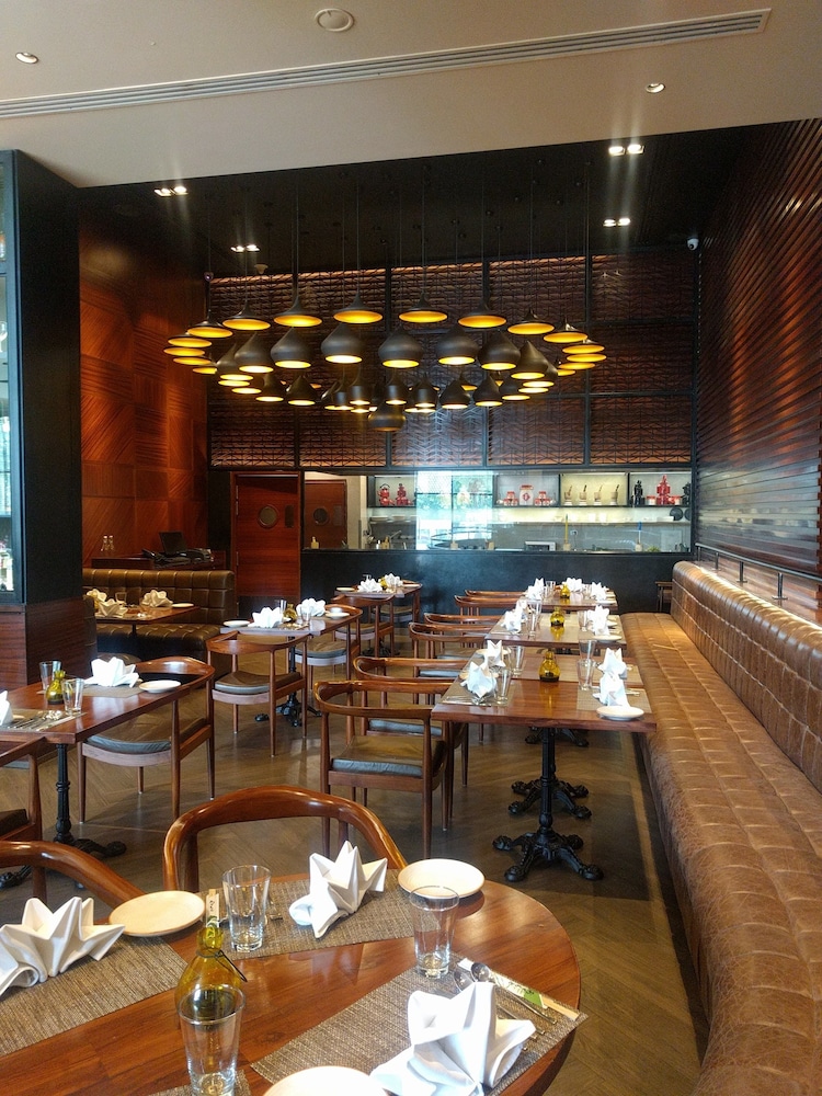 Lemon Tree Premier City Center Gurgaon 37/53