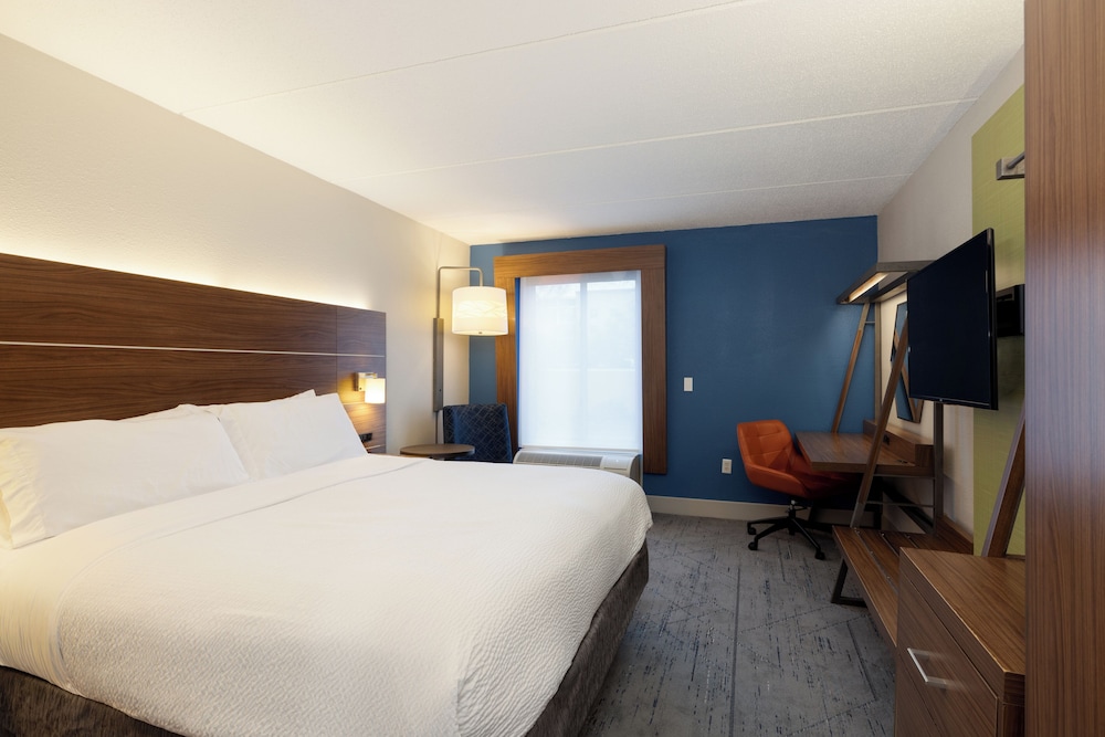 جناح بسرير كينج بغرفة نوم واحدة مع أريكة، Holiday Inn Express Charleston US Hwy 17 & I-526 2/7