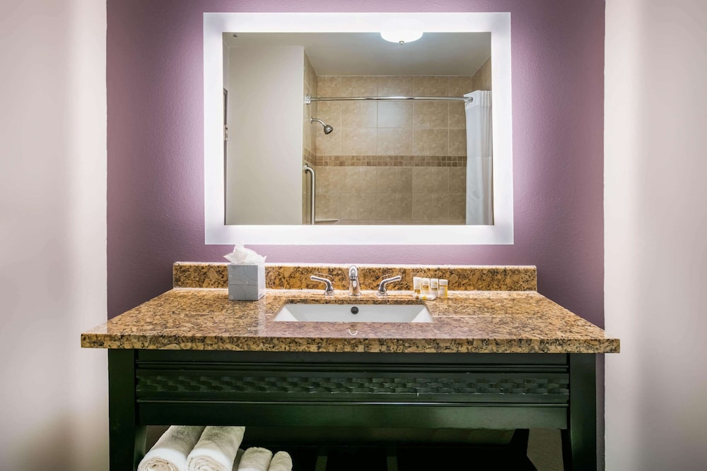 La Quinta Inn and Suites by Wyndham DFW Airport West - Euless 23/65