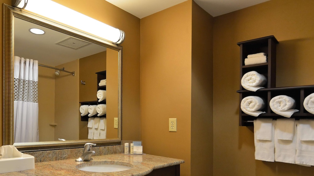 Hampton Inn Geneseo 21/54