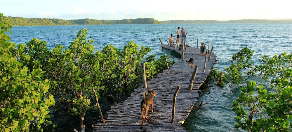 DISTANT RELATIVES ECOLODGE & BACKPACKERS 33/50