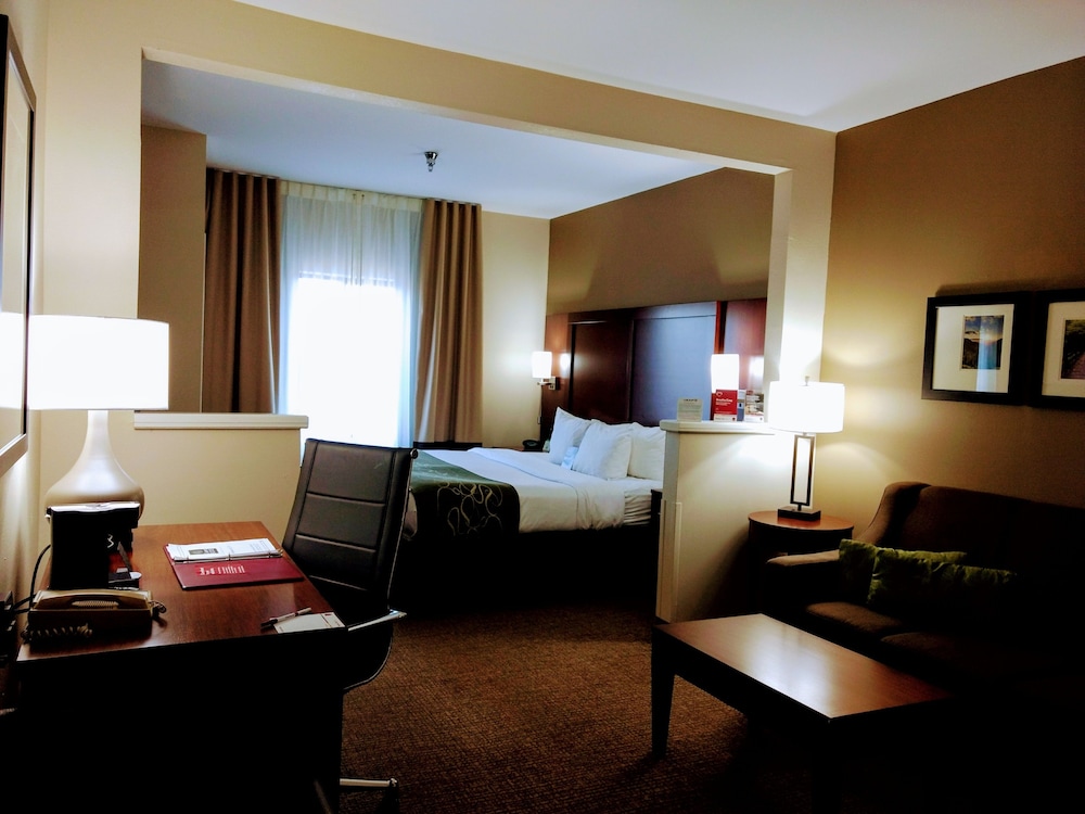 Comfort Suites Johnson City Near University 19/36