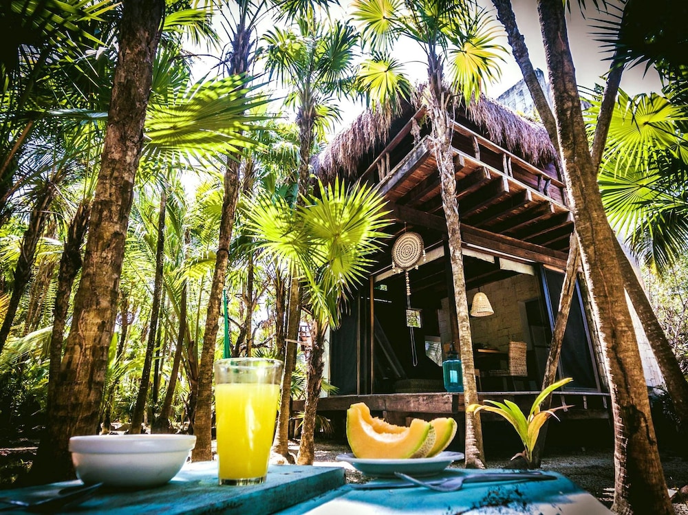 Vida Silvestre Tulum 40/50