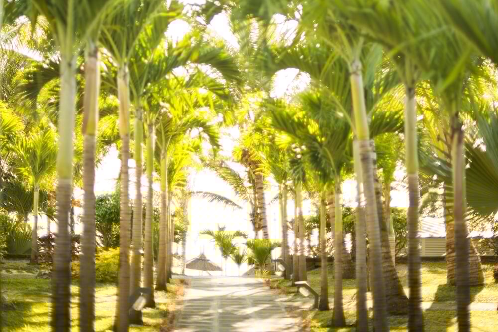 Veranda Palmar Beach Hotel and Spa 23/60