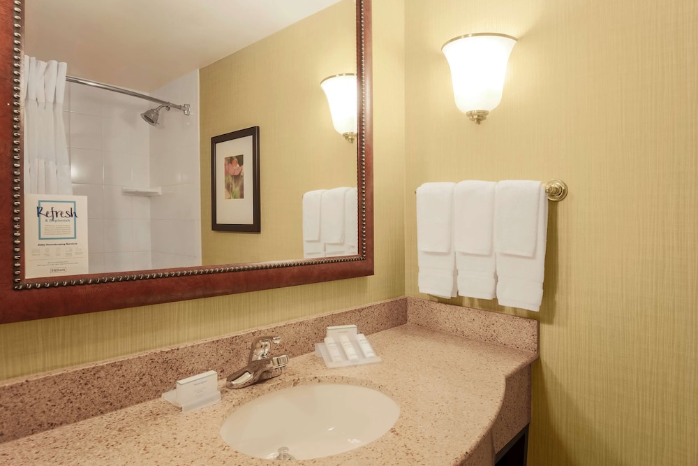 Hilton Garden Inn Chicago/Midway Airport 16/41