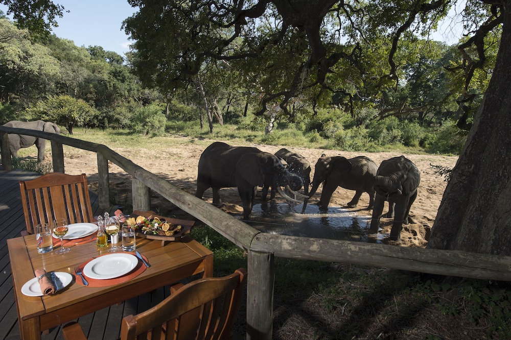 Tintswalo Safari Lodge 33/50