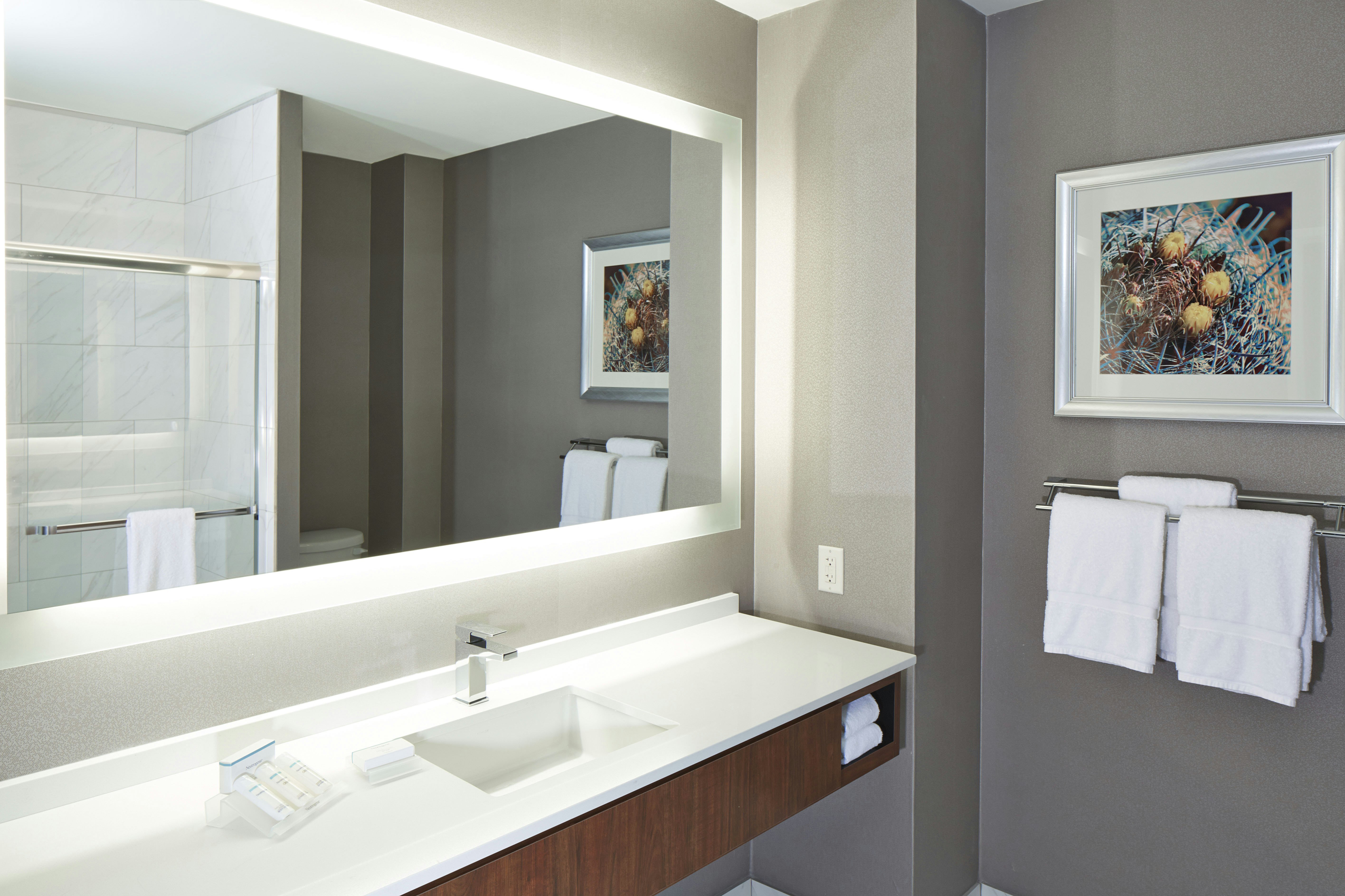 Room, Queen Murphy Bed, Parlor