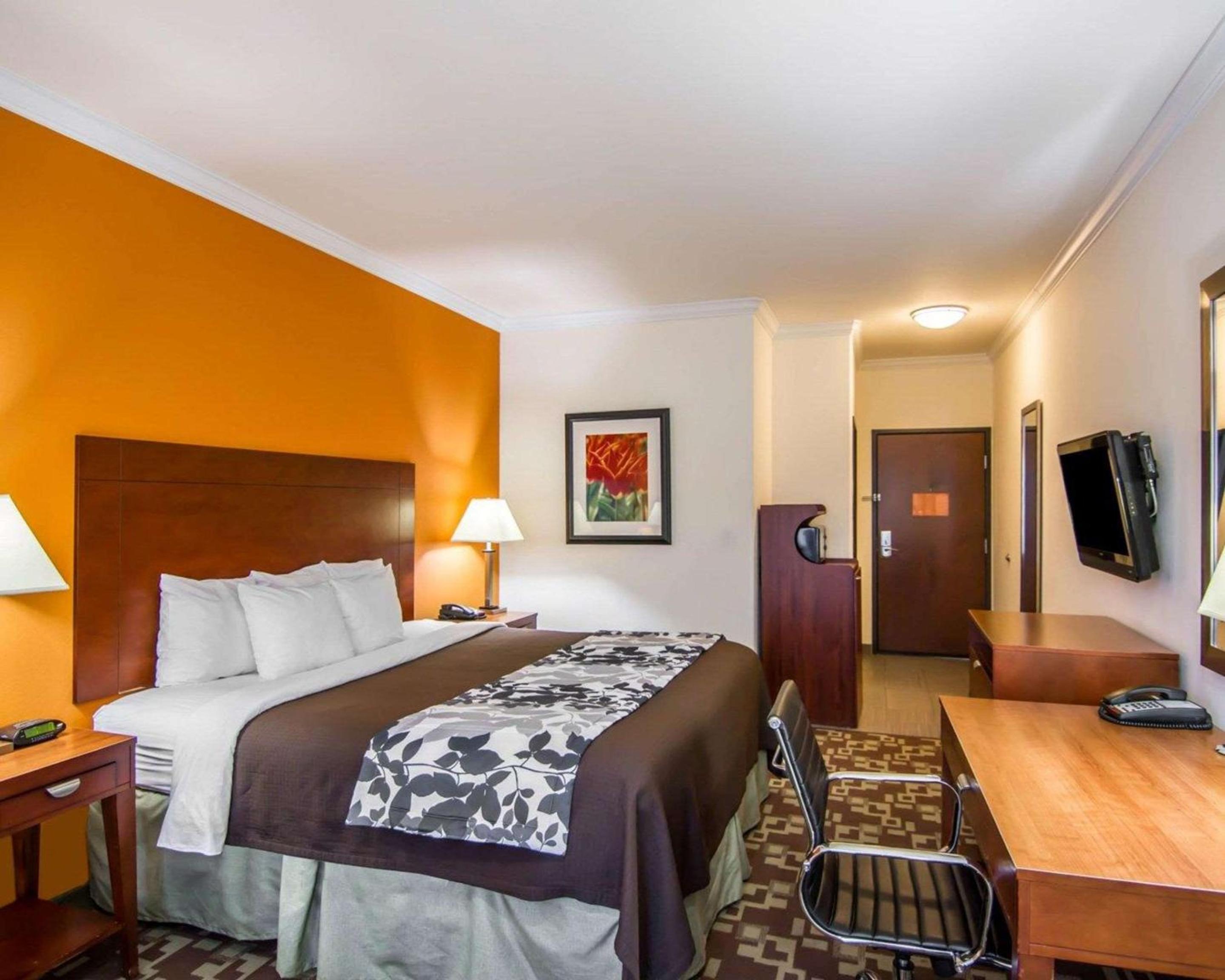 ROOM, KING BED
