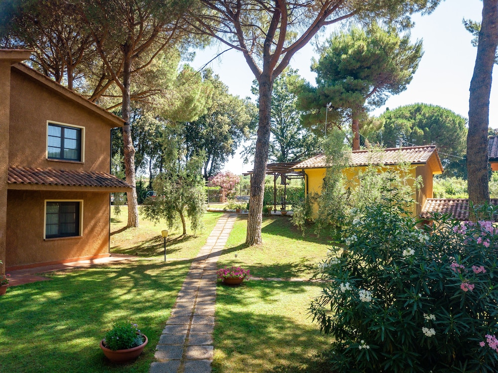Il Paradiso 35/50