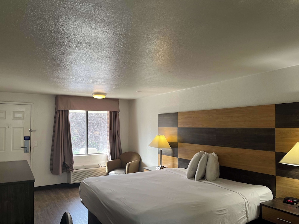 Deluxe, King Bed