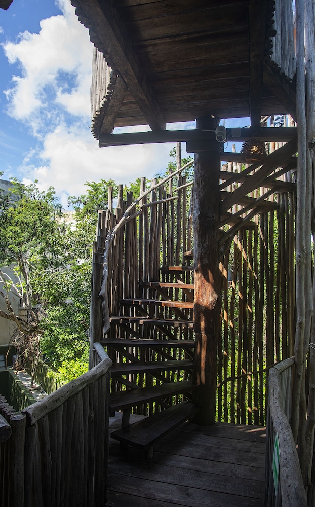 Loba Tulum 2/40