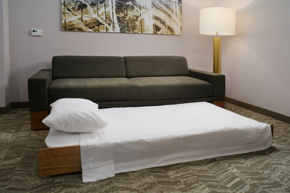 SpringHill Suites by Marriott Texas City 17/41