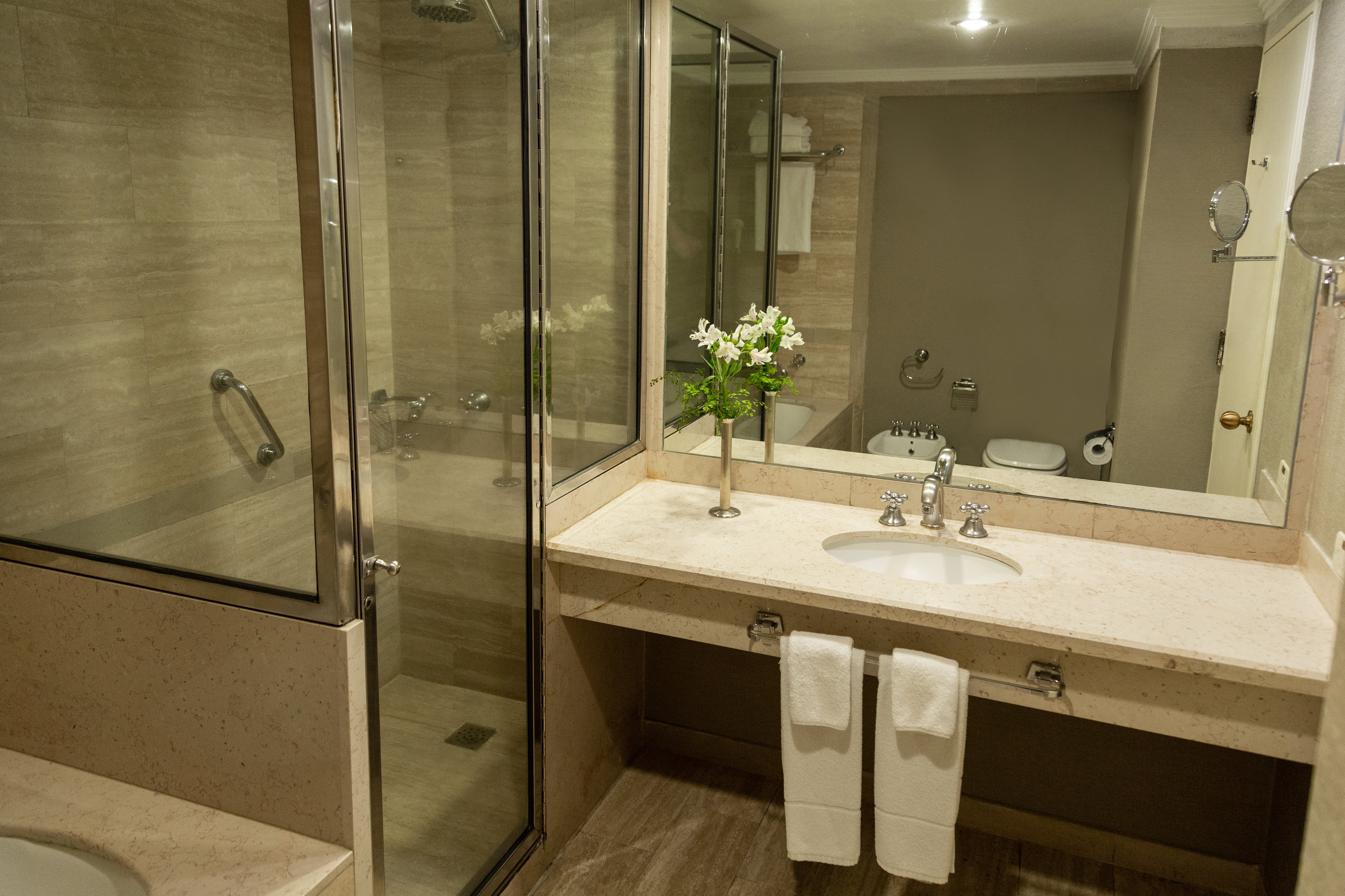 Intercontinental Buenos Aires (Intercontinental Hotel) 66/66