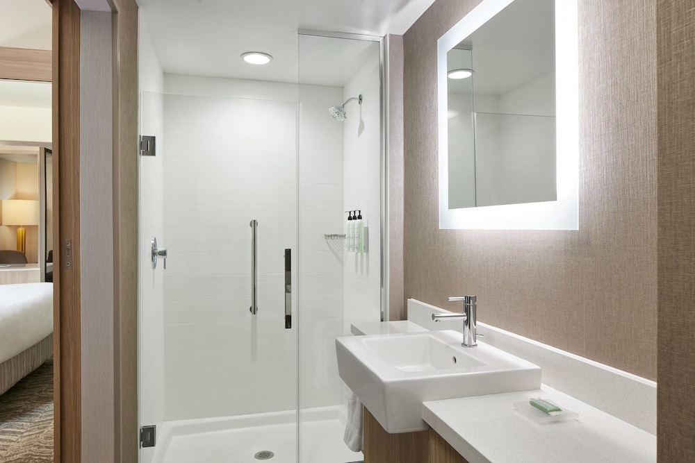 SpringHill Suites Frederica 28/31