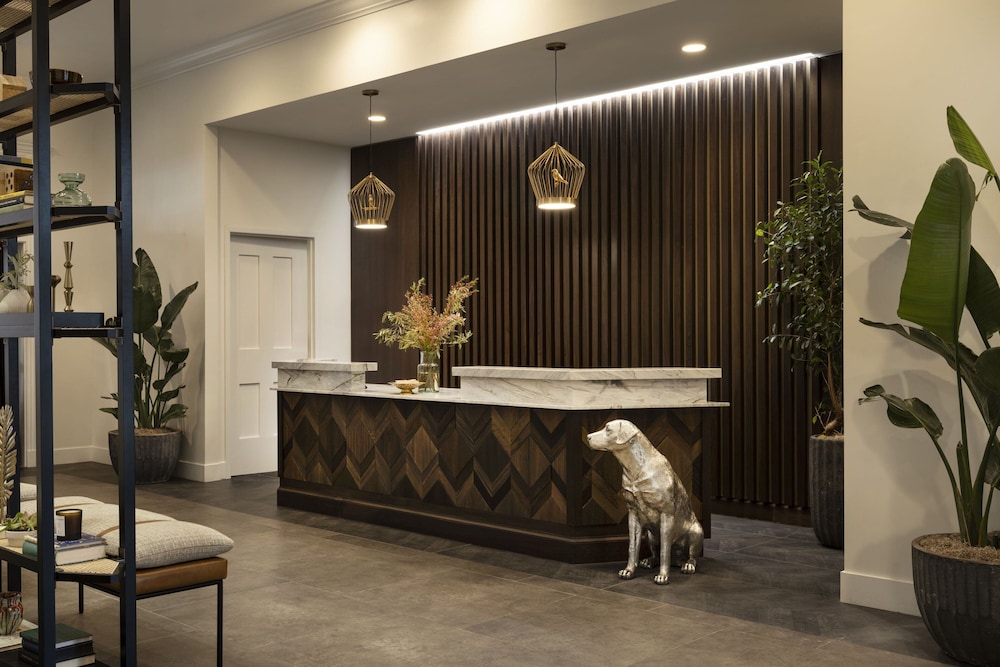The Steward, Santa Barbara, a Tribute Portfolio Hotel 7/58
