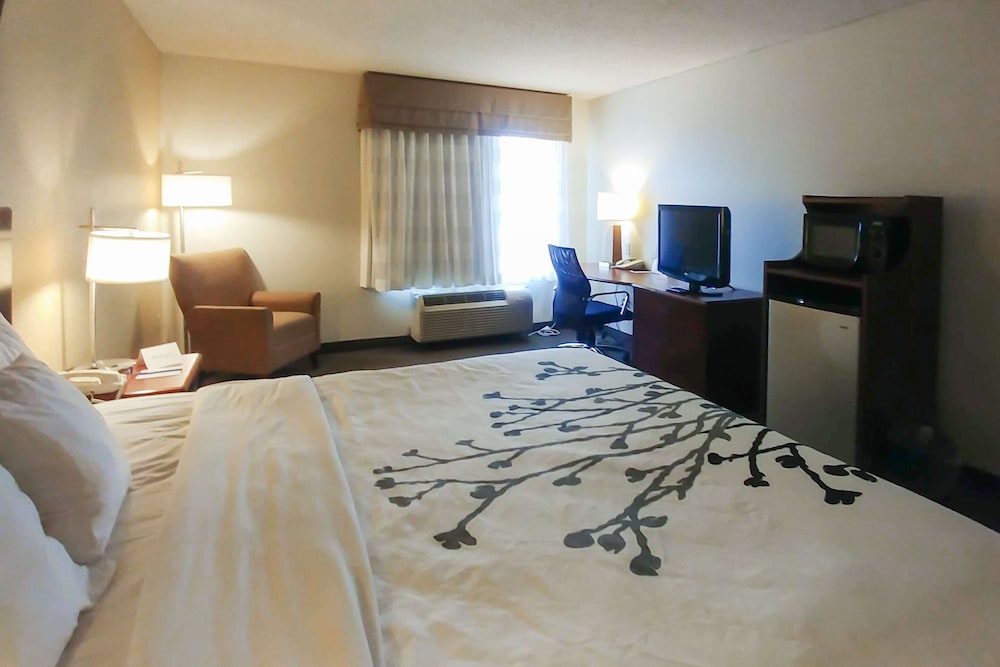 Wingate by Wyndham Dublin Near Claytor Lake State Park 7/38