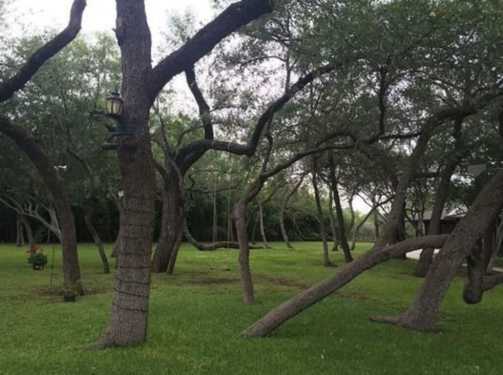 Live Oaks Bed and Breakfast 35/44
