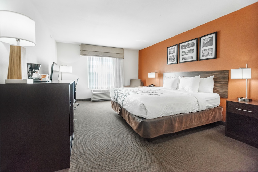 ROOM, KING BED