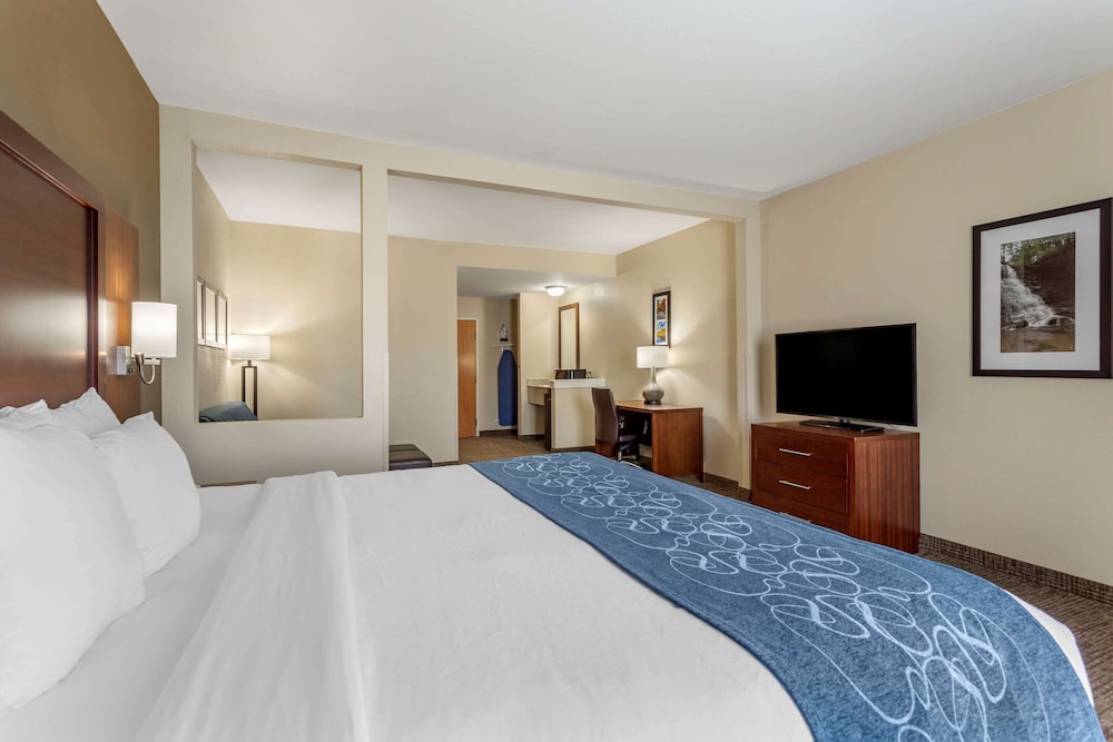 Comfort Suites Goodlettsville Rivergate 15/40
