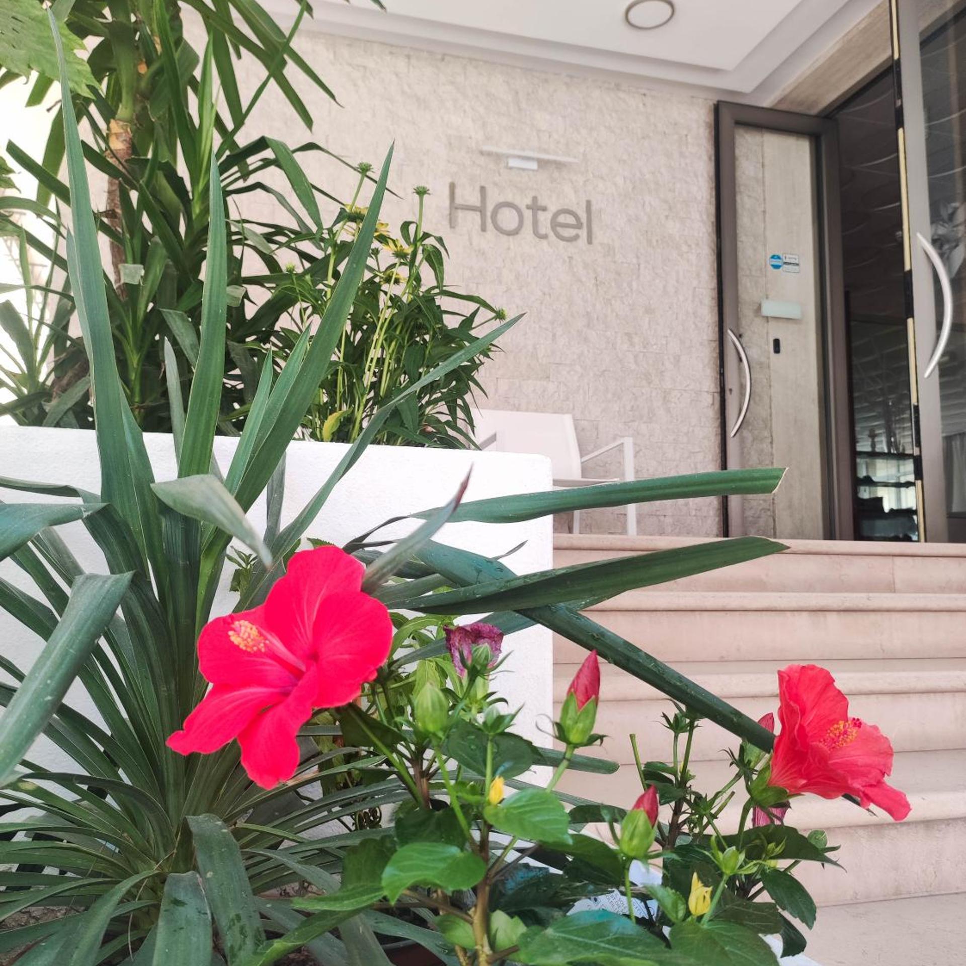 Hotel Riviera 46/50