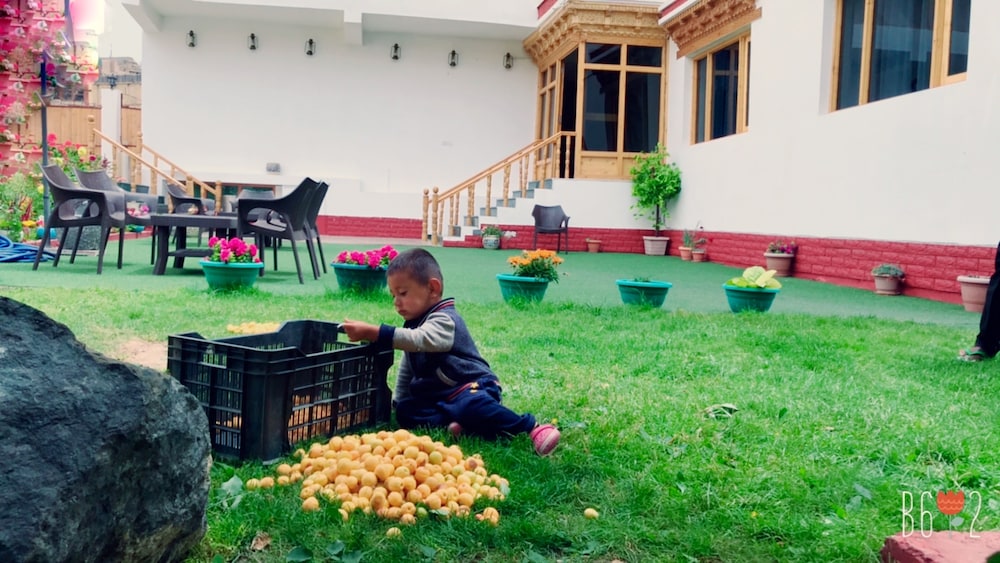 Hotel Ladakh Imperial 20/27