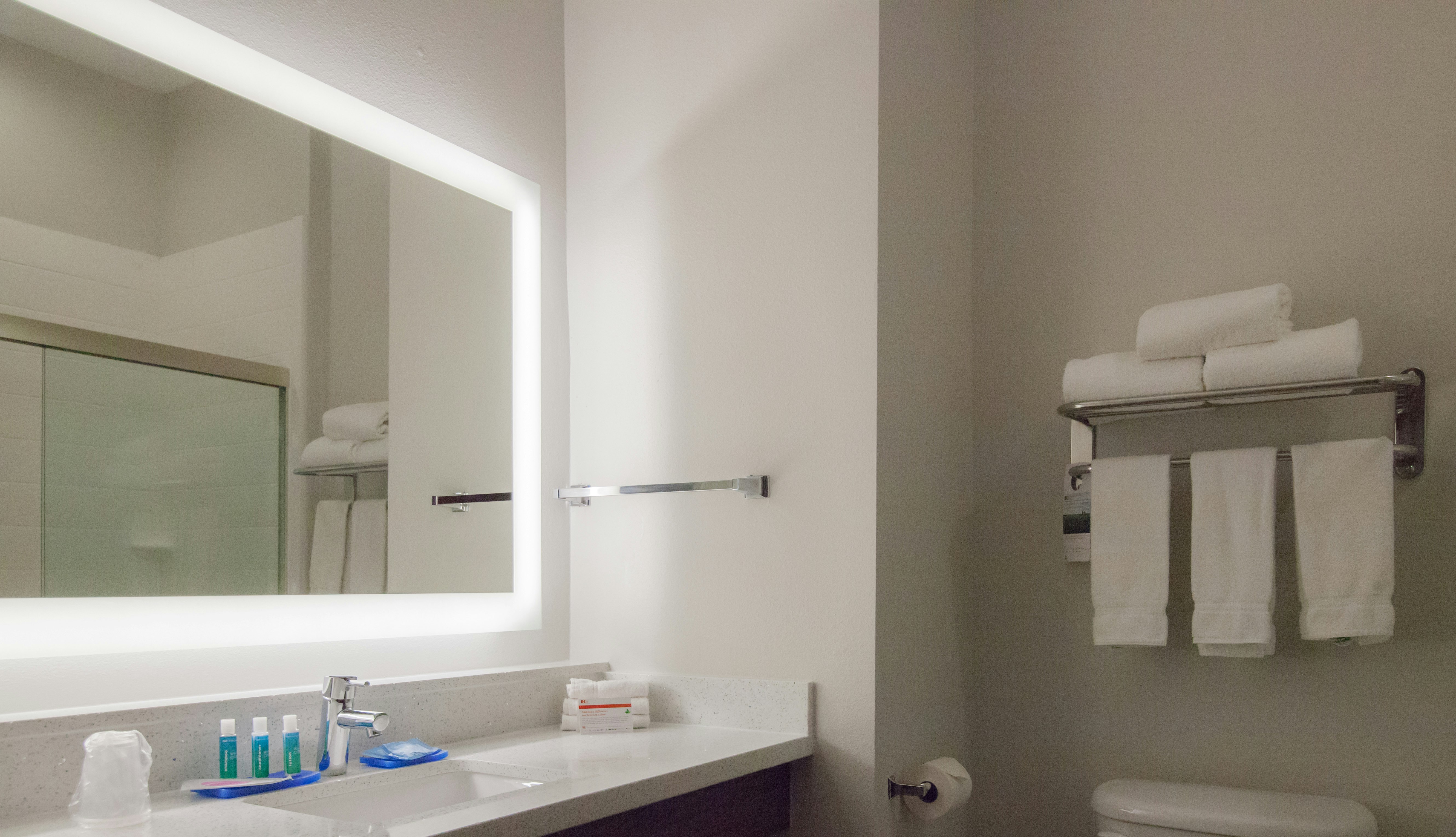 Holiday Inn Express Hotel Suites Houston Alvin 52/52