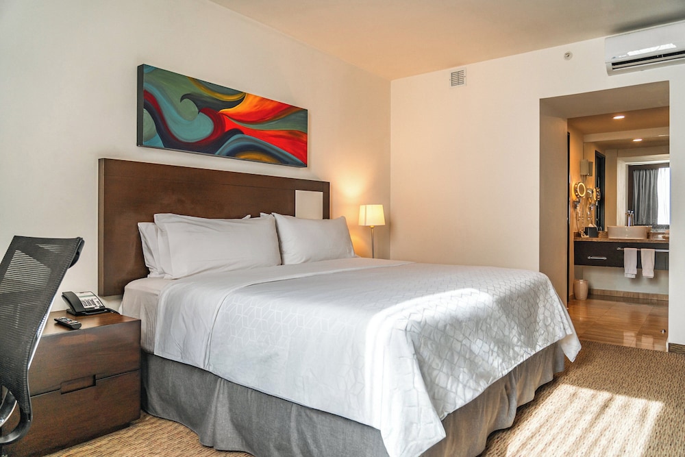Holiday Inn Guadalajara Patria-Universidad 16/50