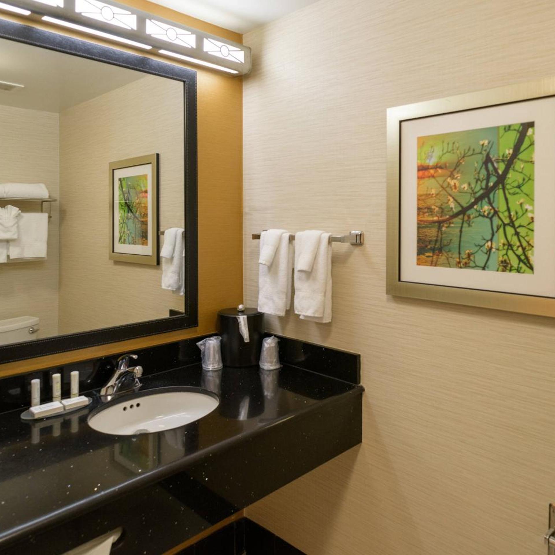 جناح بغرفة نوم واحدة، Fairfield Inn Suites Kennett Square Brandywine Valley 6/6