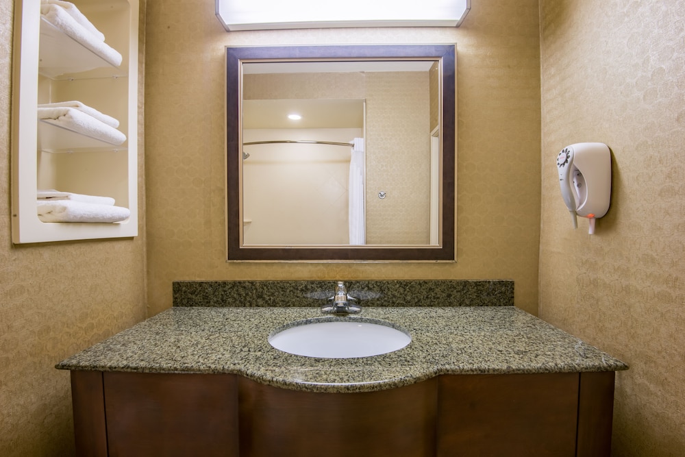 Holiday Inn Express Hotel Suites Clovis 38/49