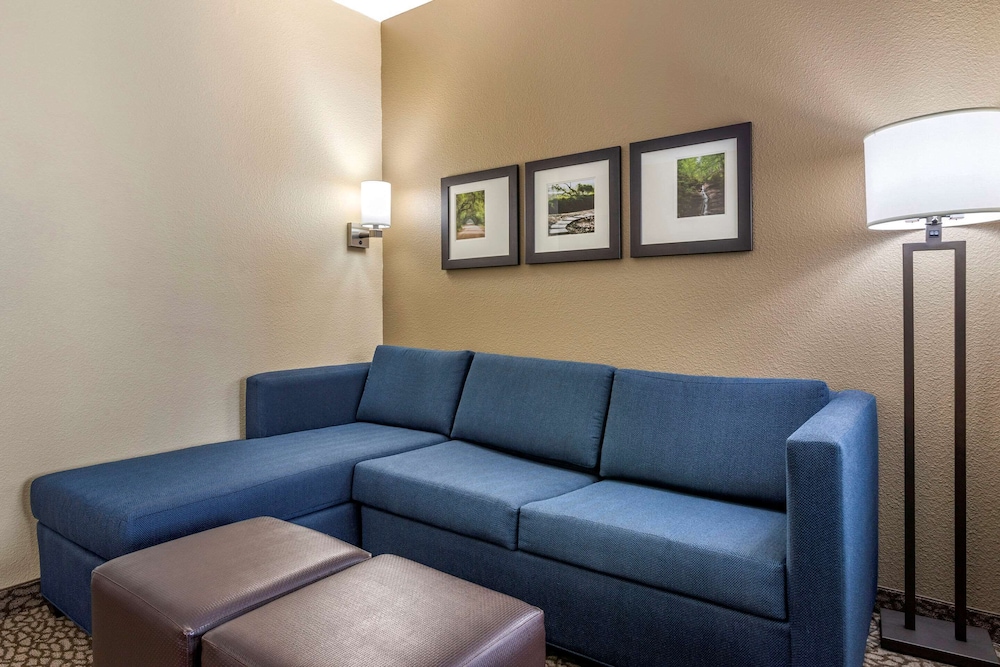Comfort Suites Florence I-95 20/36