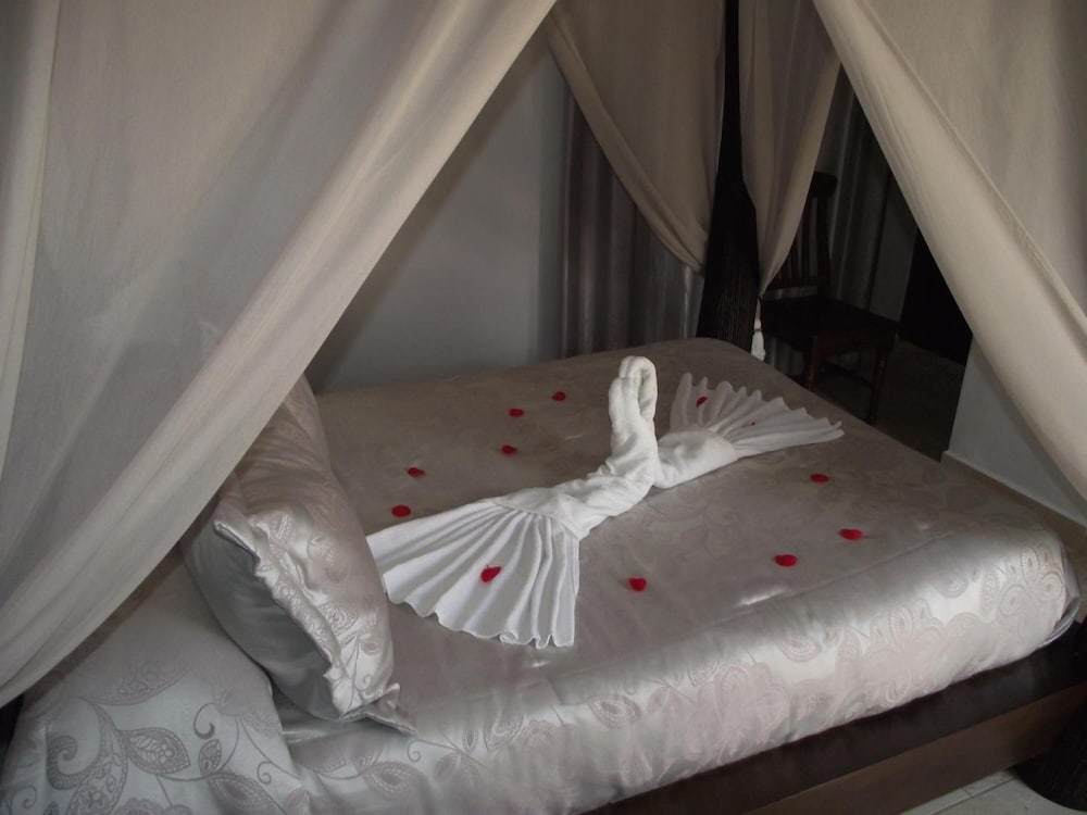 Hostal El Canario 8/36
