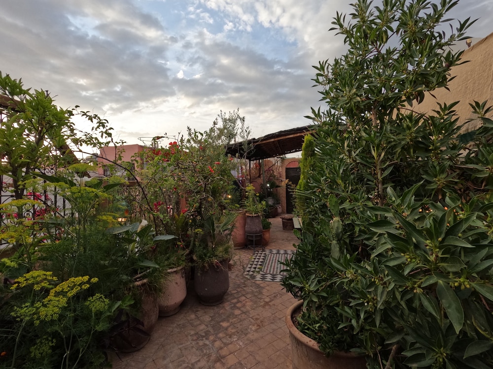 Riad Maizie 46/50