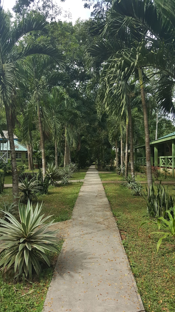 Midas Resort 47/50