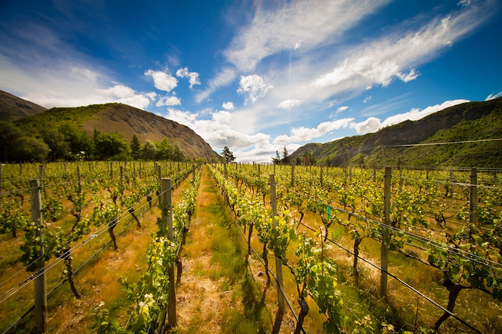 Gibbston Valley Lodge & Spa 43/50