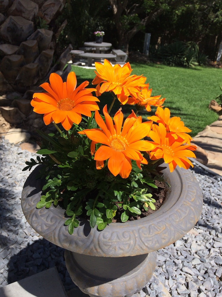 Bloemenzee Boutique B & B 40/50