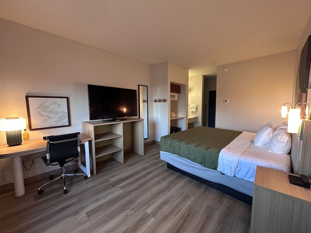 Room, King Bed 3/8