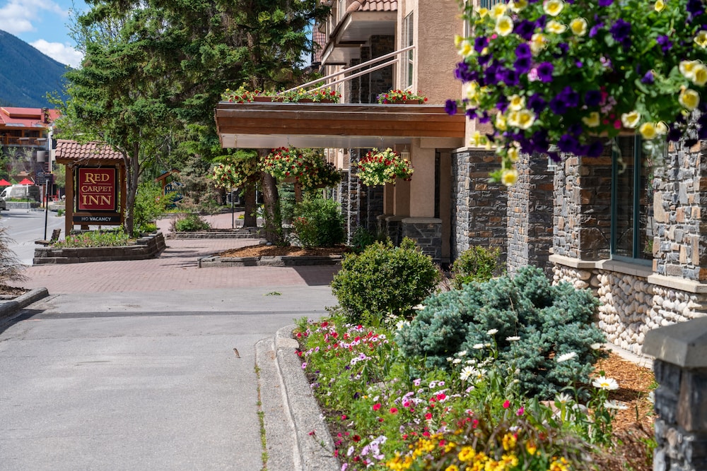 Red Carpet Inn Banff Hotel 11/75