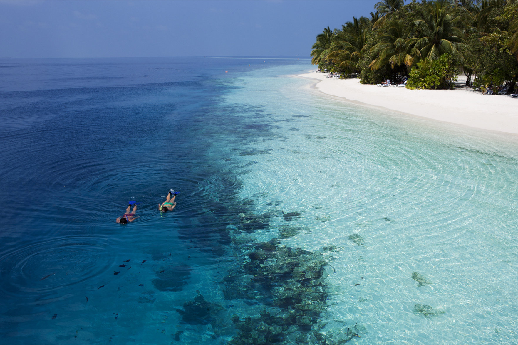 Vilamendhoo Island Resort & Spa 258/272