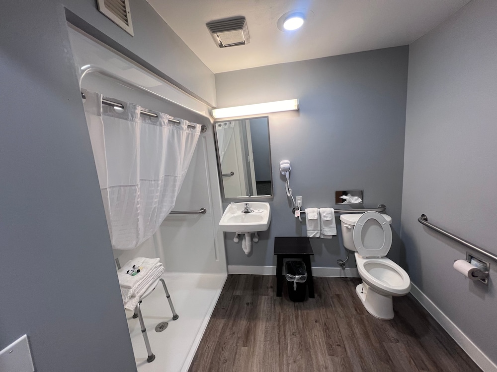 American Inn and Suites Ionia 46/47