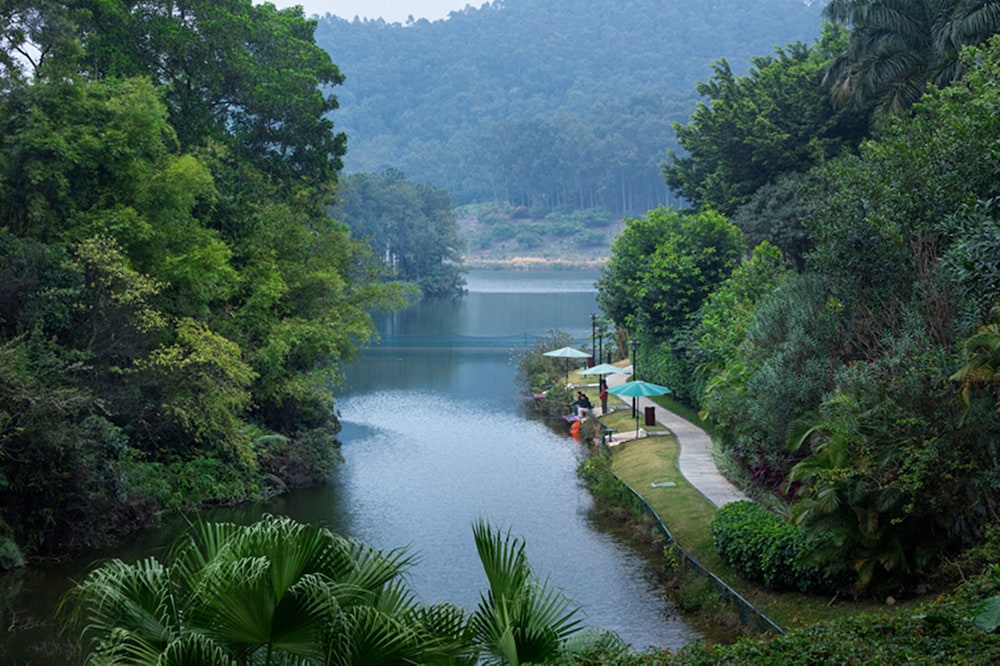 Goodview Sangem Tangxia 43/50