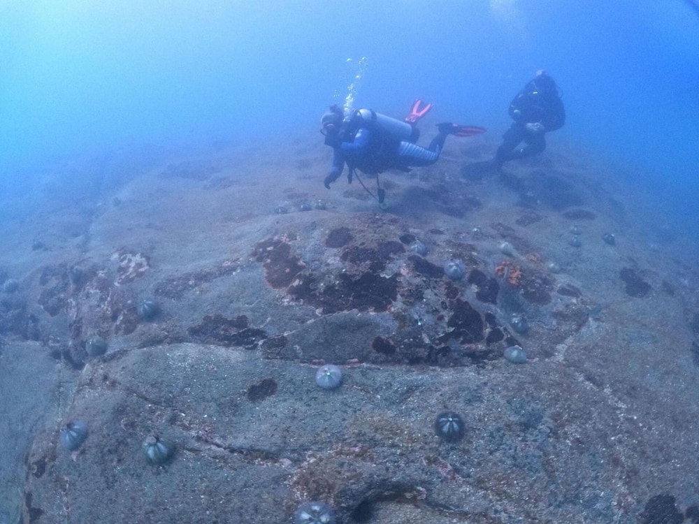 Aquamaster Dive Pousada 27/50