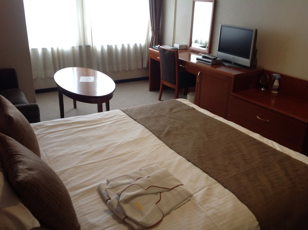 Okayama Plaza Hotel 35/50