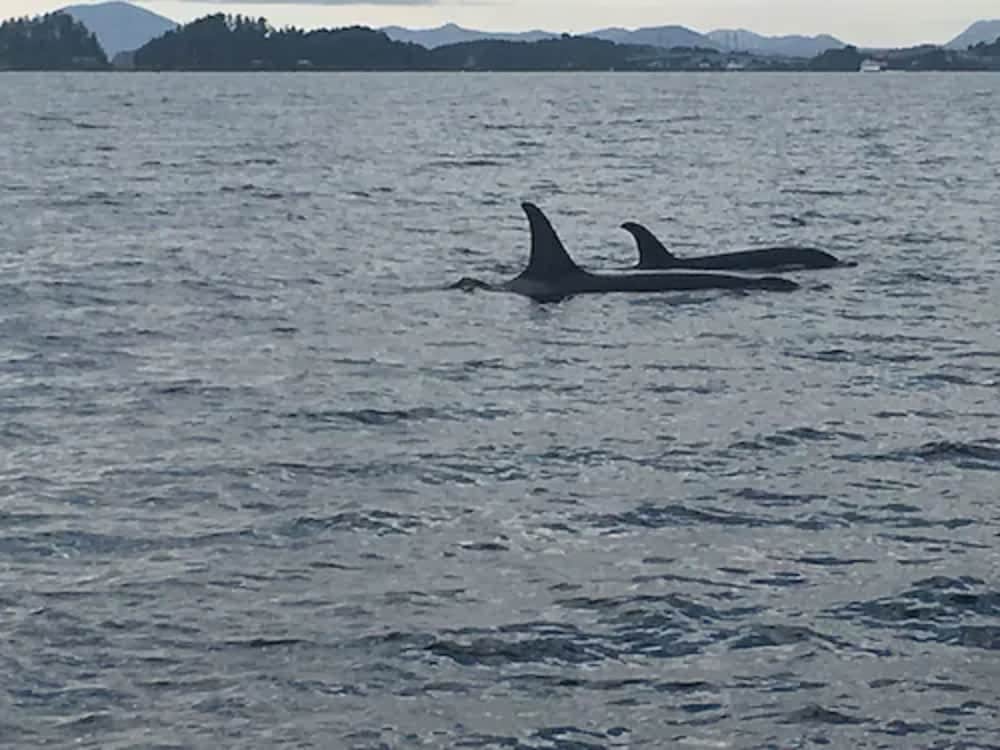 Sitka Hotel And Restaurant 43/45