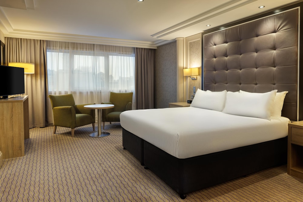 Suite, King Bed