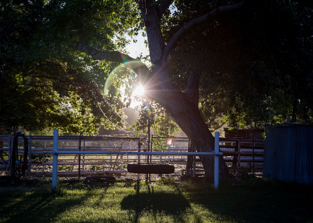 Red Horse Vineyard Bed & Breakfast 62/66